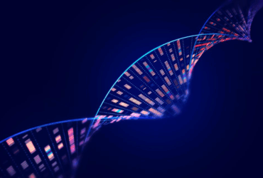 Investment Outlook for New Zealand’s Biotechnology Sector in 2025